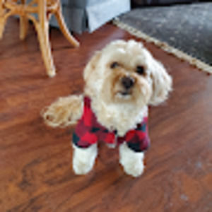 Meet your Posher, Kate